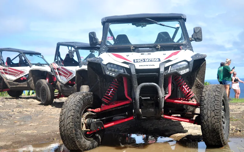 Northern Buggy Tour